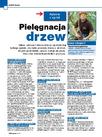 Pielęgnacja drzew - Pytania o ogród